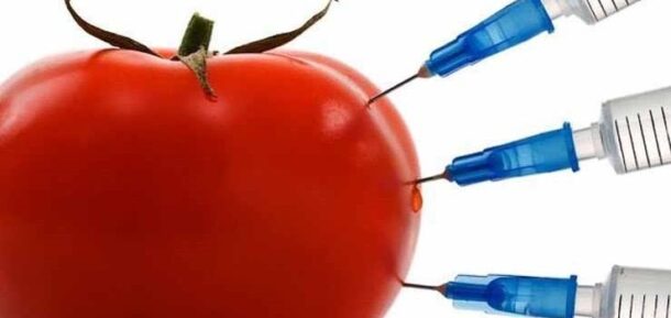 продукты ГМО продукты ГМО