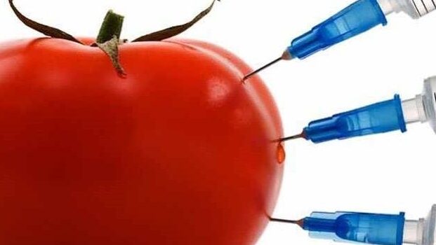 продукты ГМО продукты ГМО