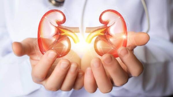 uluchshenie-raboti-pochek улучшение-работы-почек