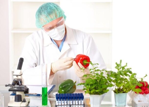 исследование гмо