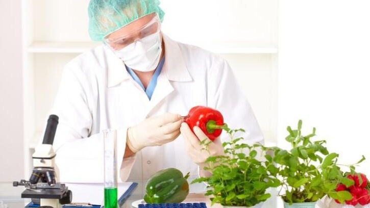 issledovanie gmo исследование гмо