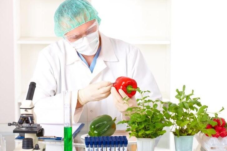 issledovanie gmo исследование гмо