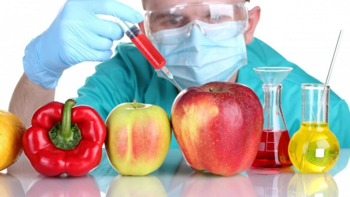 pravda o gmo правда о гмо