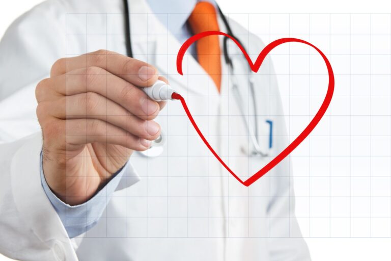 сердечно-сосудистая система сердечно-сосудистая система