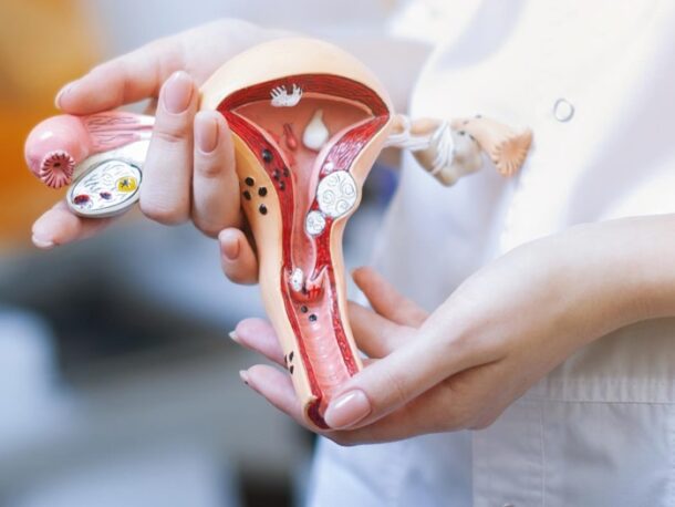 эрозия шейки матки эрозия шейки матки