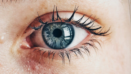 гирудотерапия при глазных заболеваниях