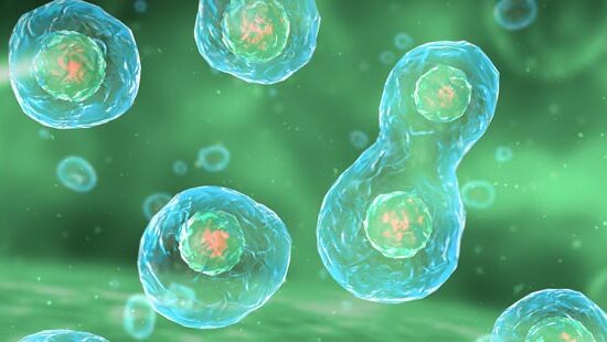 раковые клетки